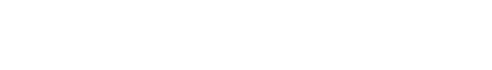 Avia Solutions Group